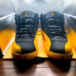 Air Jordan 12 Retro